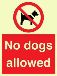 No dogs allowed